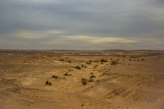 Désert irakien